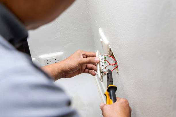 Best Local Electrician Companies  in Village Of The Branch, NY